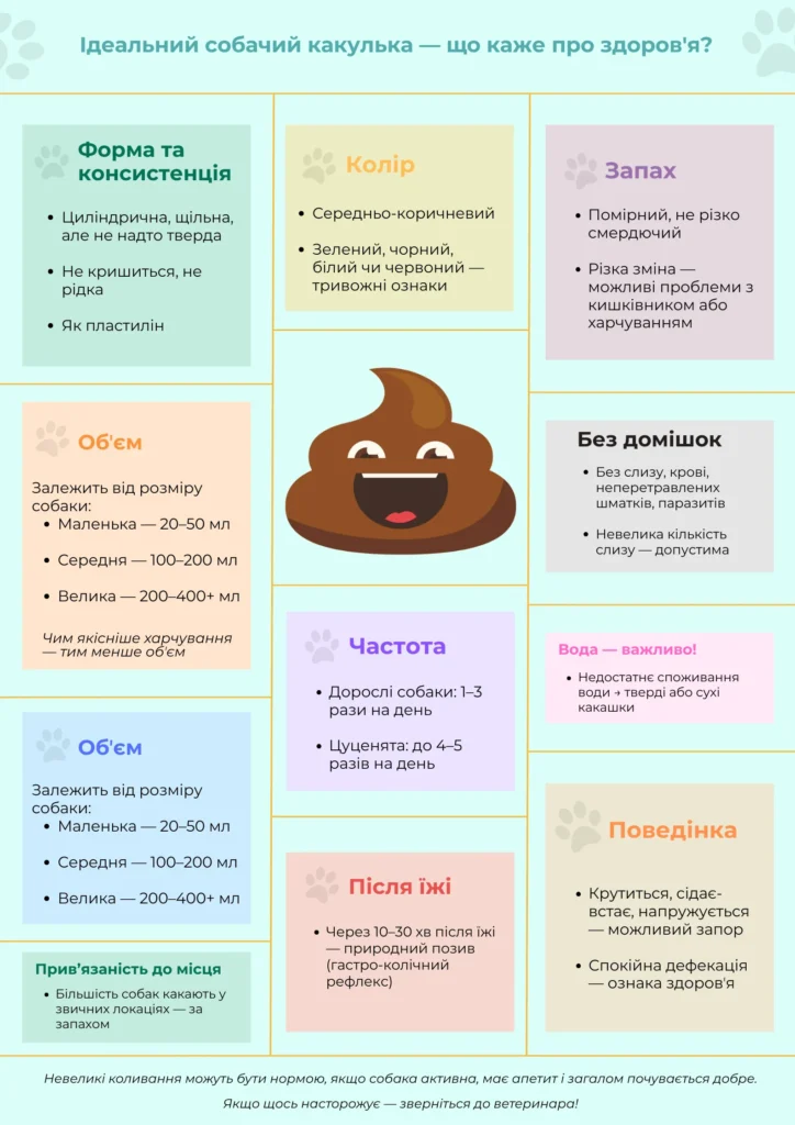 Ідеальна собача какулька