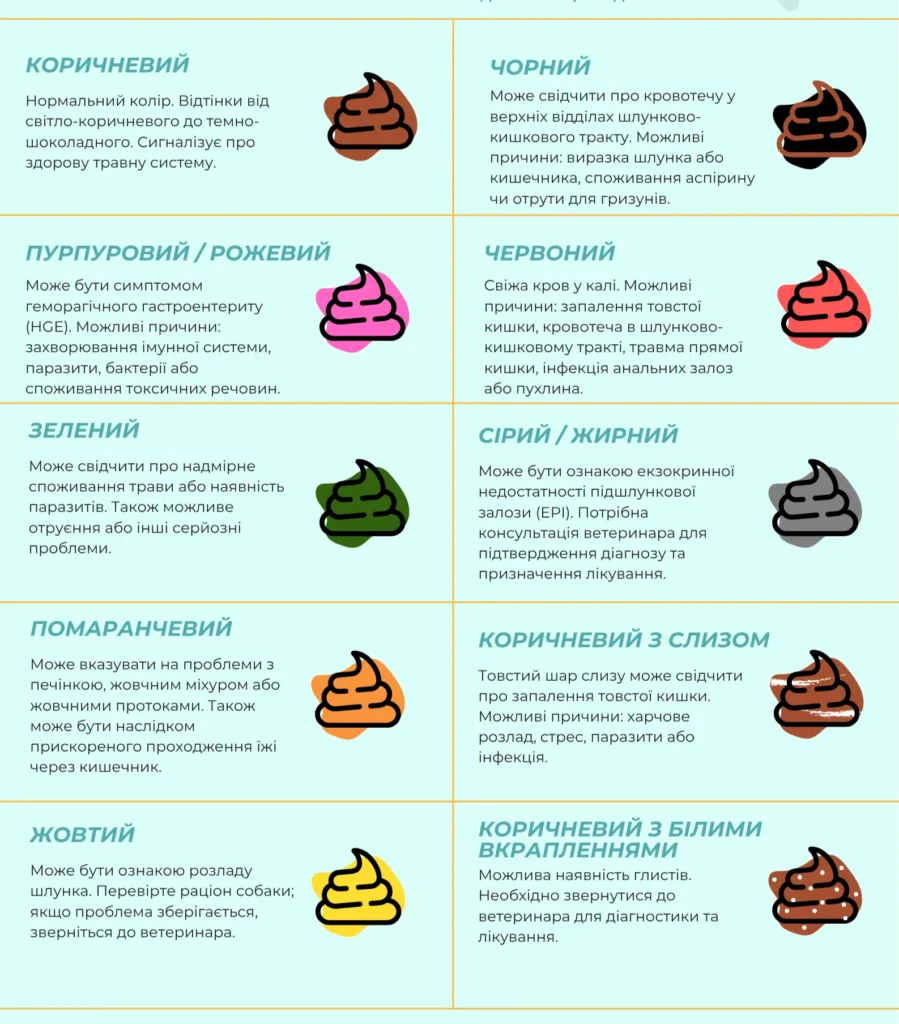 Види кольорів калу собаки