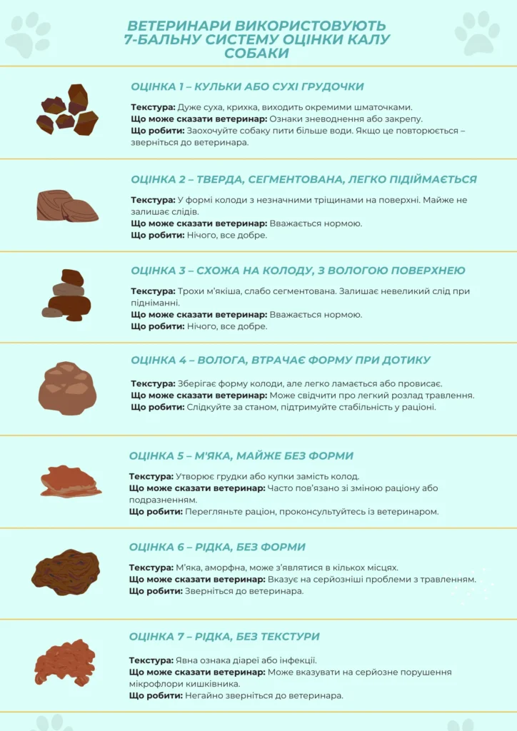 Типи консистенції калу собаки